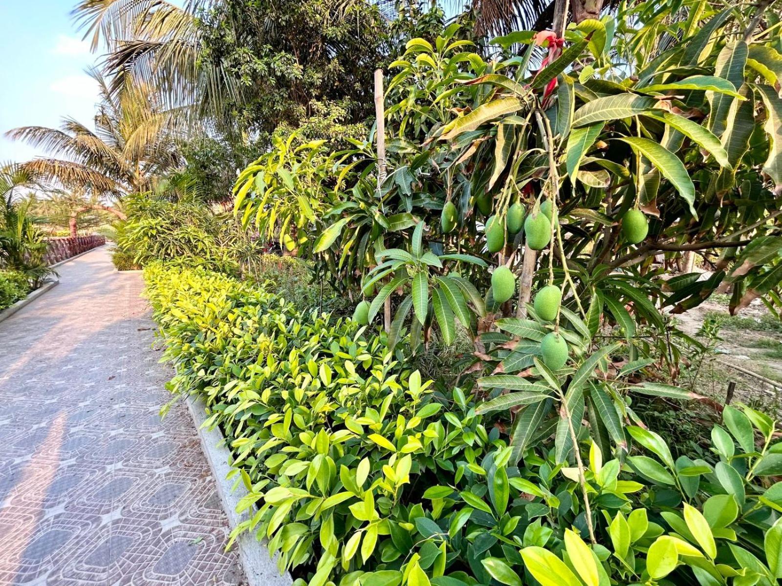 Palli Bangla Resort, Near Ruby Hospital, Anandapur Колката Екстериор снимка
